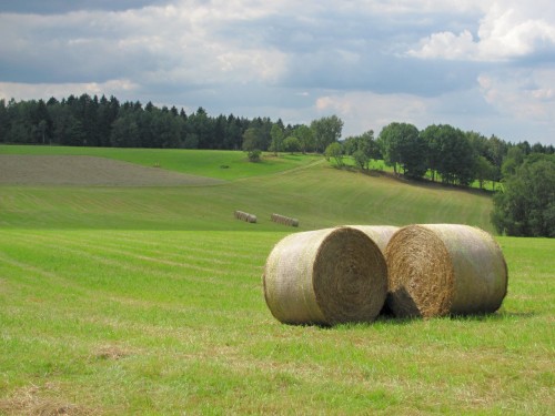 krajina3.jpg